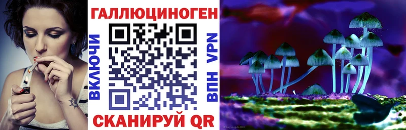 где купить   Ивдель  Галлюциногенные грибы Psilocybine cubensis 